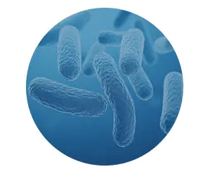 Probiotics finessa